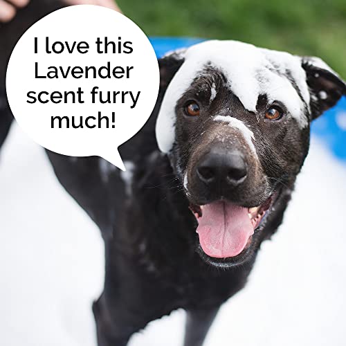 Rosen Apothecary Moisturizing Dog Wash 5 In 1 For Cleansing Conditioning Deodorizing Softening And Detangling 32oz 960 Ml Pricepulse