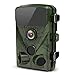 LETSCOM 14MP Trail Game Camera with 3 PIR Sensors, Waterproof HD Wildlife Scouting Cam 42 Low-Glow IR LEDs, 120° Wide Angle for Hunting and Outdoor Surveillance (Green)