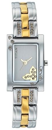 Raga Analog Silver Dial Women's Watch -NK9716BM01