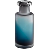 Cyan Design 07305 Neptune Vase, Small