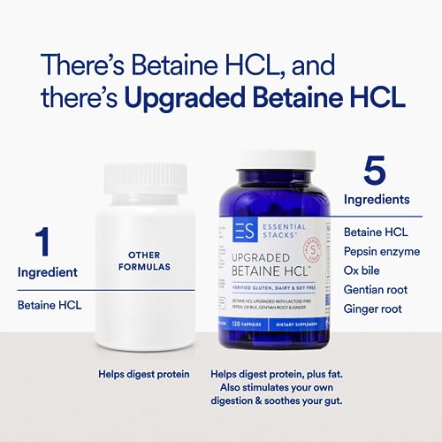 Essential Stacks Betaine HCL with Pepsin, Ox Bile, Organic Gentian