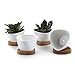 T4U Small White Succulent Planter Pots with Bamboo Tray Triangle Set of 4, Geometric Ceramic Succulent Air Plant Flower Pots Cactus Faux Plants Containers, White Modern Decor for Home and Office
