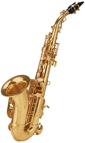 Roy Benson MOD. SG-302 BB Sopran Curved Shape Lacquered Saxophone with Etui