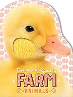 Board Book edition cover