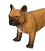 Safari Ltd Best In Show Dogs French Bulldog