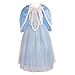 Dressy Daisy Girls' Princess Dress Up Halloween Party Costumes Dresses Size 3T