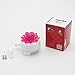 DRBIKE Kids Bike Bell for Girls, Replacement Bicycle Handlebar Bell with Plastic Flower, Cute Bike Safe Cycling Ring Horn, Kids Bike Accessories Pink