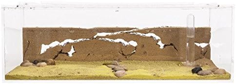 Sand Ant Farm BIG - Anthill, Formicarium, Educational, Ants -
