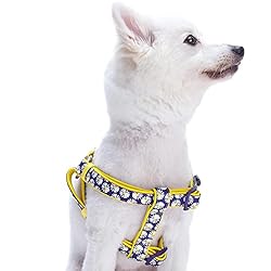 Blueberry Pet 2 Patterns Soft & Comfy Step-in