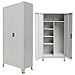 Festnight Office Steel Locker Cabinet with 2 Doors Gray 35.4