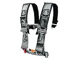 Pro Armor Silver 4-Point Harness with 3
