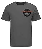 Harley-Davidson Men's Screamin' Eagle Industrial Skull T-Shirt, Gray HARLMT0245
