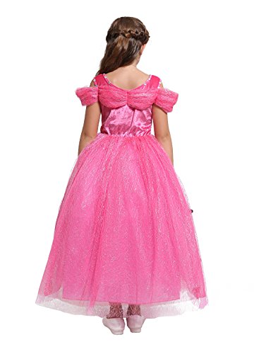 Dressy Daisy Girls' Princess Aurora Costume Princess Dress Halloween Fancy Dress Up Size 6X / 8