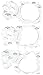Iwata-Medea Art Tool Skullz 1 Airbrush Template (Set of 3)