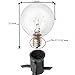 Deneve 25 Ft Globe String Lights G40 Bulbs, Black - Connectable Strings Lights for Bedroom, Outdoor String Lights, String Lights Outdoor, String Lights Indoor