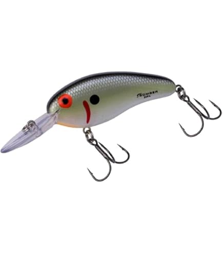 Amazon.com: Flat Sided Crankbait