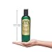 Sulfate Free Hemp Omega 3 Botanical Shampoo, Natural, 12 oz (Single)