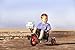 Mobo Tot- A Toddler's Ergonomic Three Wheeled Cruiser