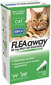 black and tan cavachon