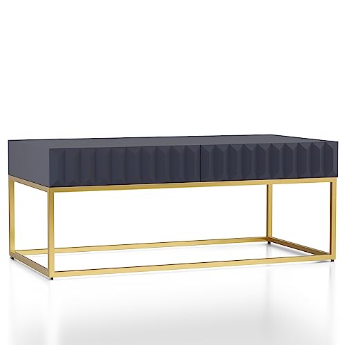 24/7 Shop at Home Pawlak Modern 2-Drawer Rectangle Wood Top 48 in. Coffee Table…
