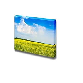 Canvas Prints Wall Art - Peaceful Summer Rural Landscape in Wide Field | Modern Wall Decor/Home Decoration Stretched Gallery Canvas Wrap Giclee Print. Ready to Hang - 12" x 18"