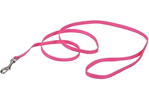 Coastal Pet Single-Ply Dog Leash - Sturdy Pet Leash - Comfortable & Stylish - Resists Fraying - Vibrant & Fade-Resistant Color - Neon Pink, 3/8" x 6'