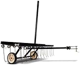 Agri-Fab 45-0295 48-Inch Tine Tow Dethatcher (Lawn &amp; Patio)