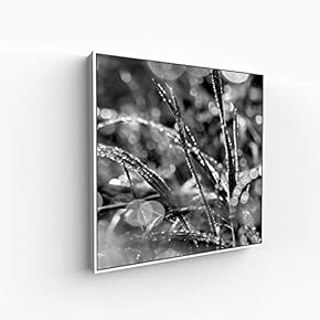 Canvas Wall Art for Living Room, Bedroom Monochrome Image Framed Canvas Prints for Home Decoration Ready to Hang - 16x16 inches