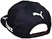 Red Bull Racing F1 Max Verstappen Cap 2017