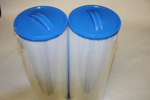 2 pack-Pool Filter Replaces Unicel 4CH-949 Filter Cartridge for Swimming Pool Spa rising dragon 4CH-949, 4CH949, FC-0172, FC0172, PWW50L
