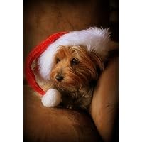 Snarky By Nature Greetings Sweet Yorkie Christmas Card (Set of 5)