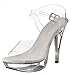 Pleaser Fabulicious Women's Cocktail-508 Ankle-Strap Sandal