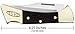 Case Ebony Mako Pocket Knife