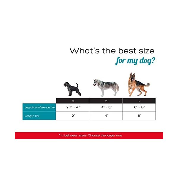 dog front leg brace arthritis