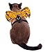 EXPAWLORER Halloween Costume Dog Harness and Leash Set with Detachable Wing and Label Adjustable Breathable Cotton Vest Black for Cats and Dogs Small