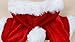 Idepet Santa Dog Costume Christmas Pet Clothes Winter Hoodie Coat Clothes for Dog Pet Clothing Chihuahua Yorkshire Poodle (M)