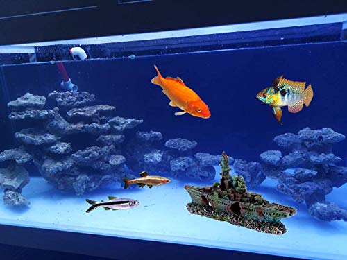 DOOGYEE Artificial Resin Shipwreck Aquarium Decorations,Fish Tank Decorations Accessories,Perfect Fish Hideouts for Freshwater Saltwater Aquarium Décor