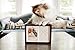 Pearhead Pet Dog or Cat Personalized Wooden Memory Box Keepsake, Pet Urn, Espresso, 41406
