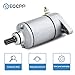 Electric Starter Motor LTF 250 300 for Massey Ferguson for Suzuki Arcitic LTF250 LTF300 King Quad 3545-003 SMU0060 410-54034 18807 31100-19B00