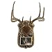 Walnut Hollow Country Deluxe Antler Display Kit with Photo Frame, Oak with Camo