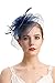 Cizoe Fascinators Hats 20s 50s Hat Pillbox Hat Cocktail Tea Party Headwear with Veil for Girls and Women(D-navy)