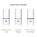 Bromose Nano Ionic Cool Sprayer Handy Mist Mini Facial Steamer for Skin Moisture Test Facial Steamer Power Bank USB Rechargeable for Skin Care Mini Beauty Instrument