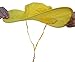 Twist-and-Fold Rain Hat, Unisex, 15 inch Diameter Brim