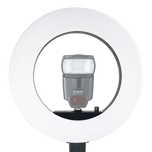 LimoStudio-Diameter-LED-Ring-Light-with-Heavy-Duty-Tripod-Stand-14-inch-Standard-Hot-Shoe-Mount-Adapter-Holder-for-Professional-at-Home-Beauty-Shoots-AGG1451V2-AGG2405V2