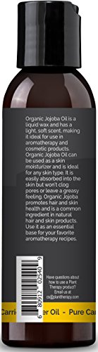 Plant Therapy Organic Jojoba Carrier Oil 4 fl. oz.