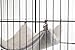 Prevue Pet Products Replacement Hammock for 7500 & 7501 cat Cages, Grey
