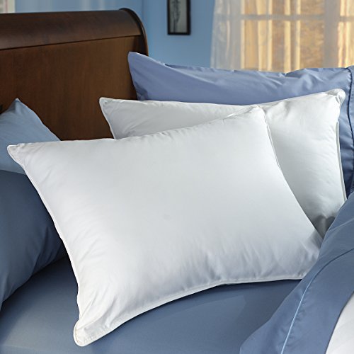New Spring Air Double Comfort Pillow King With Free