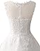 Wedding Dress Lace Bride Dresses Short Wedding Gown Tulle Vintage Bridal Gown Appliques Ivory