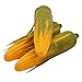 Babariol Artificial Corn, Lifelike Simulation Fake Vegetable Corn (3 pcs) (Corn)
