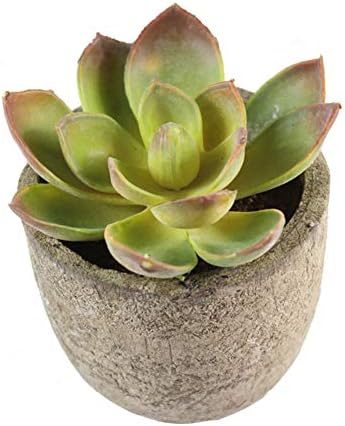Drawihi Artificial Succulents Plants in Pots Fake Succulent Planter Faux Plants Simulation Bonsai Landscape Plants with Pots for Home Indoor Outdoor Decor